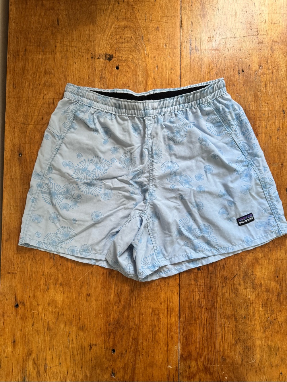 Patagonia Light Blue Athletic Shorts Size S